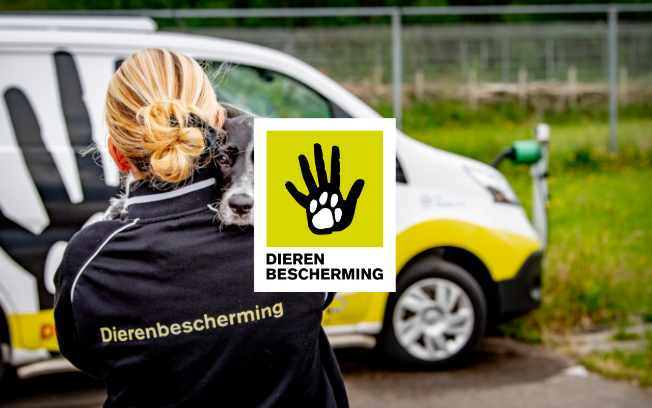 Dierenbescherming