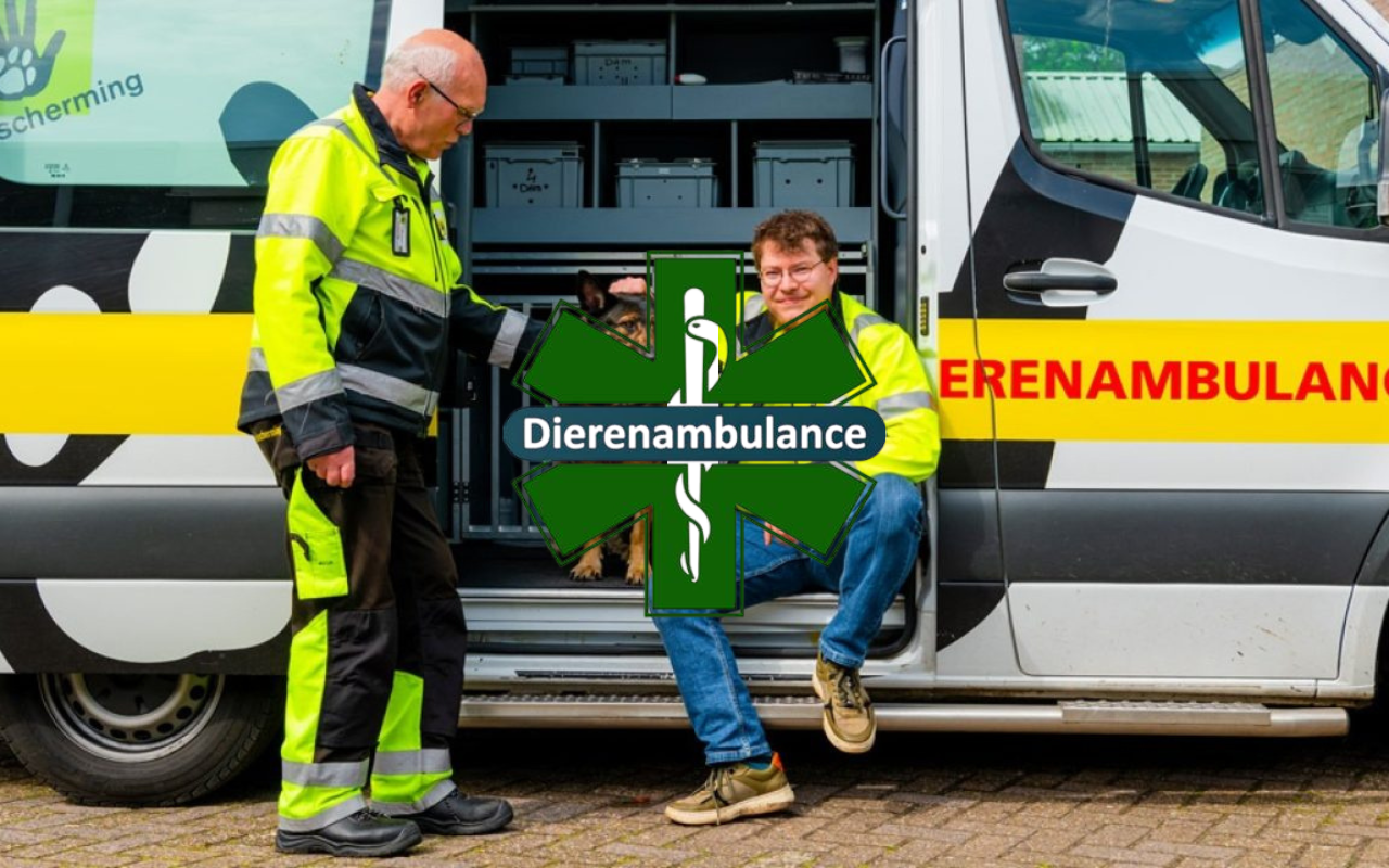 Dierenambulance