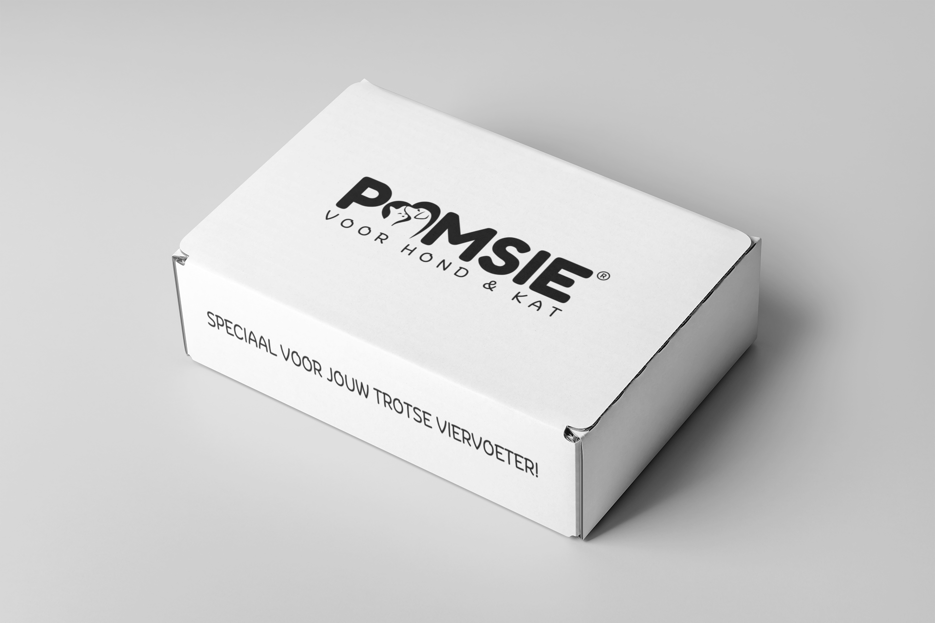minimalistic-mockup-of-a-cardboard-box-2572-el1.png