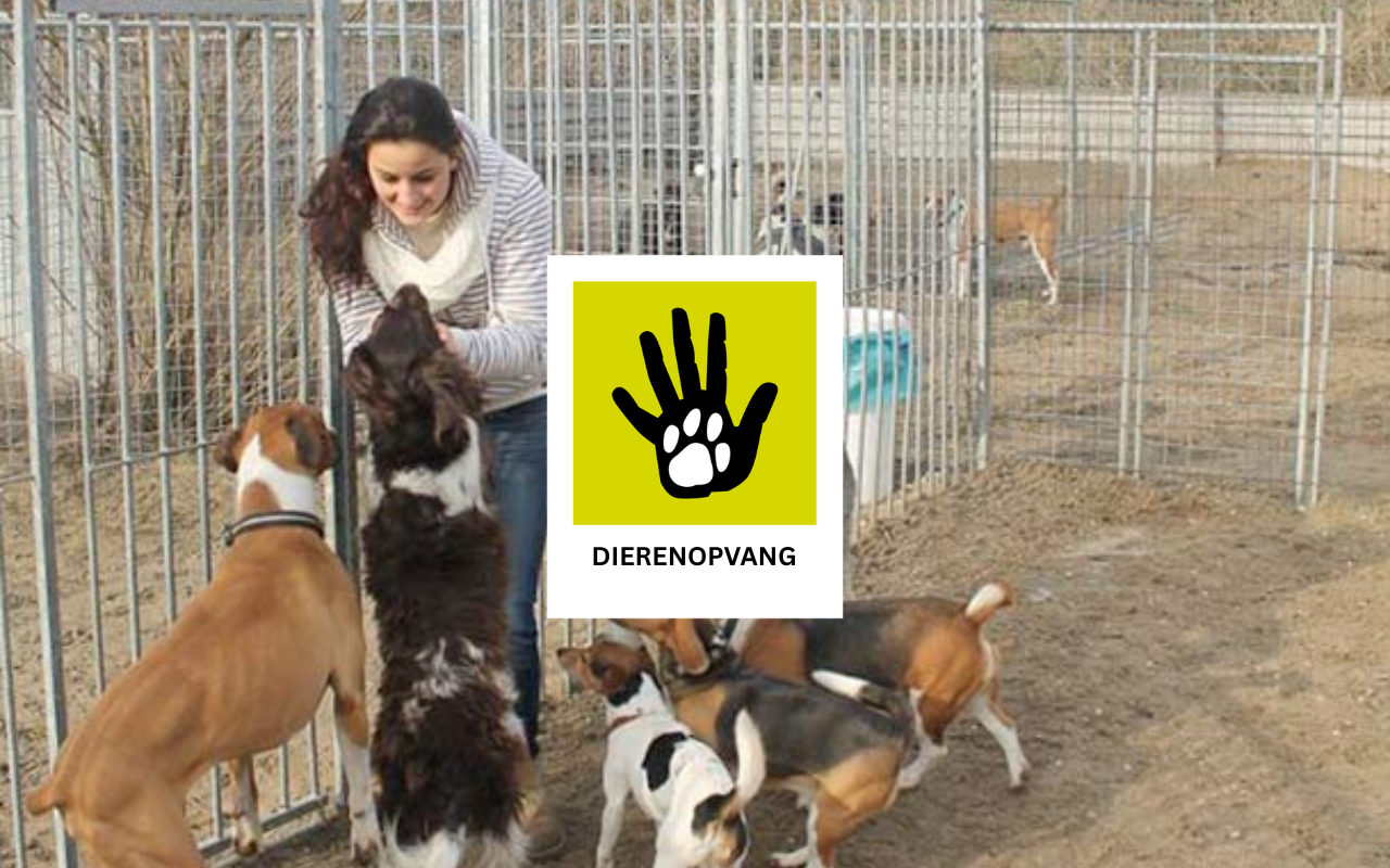 Verbeter het leven van huisdieren